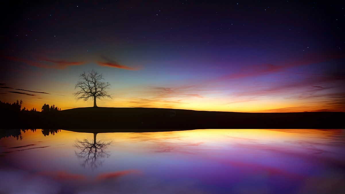 树 湖 黄昏 日落 秋季 云 傍晚的天空风景桌面壁纸图片3840x2160