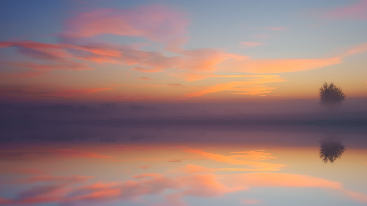 黎明 湖 天空 彩云 树6k风景桌面壁纸图片