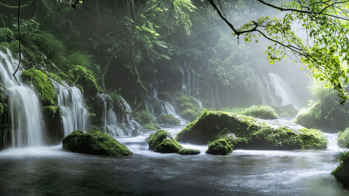 自然风景森林 瀑布 小溪 树林 高清风景桌面壁纸图片