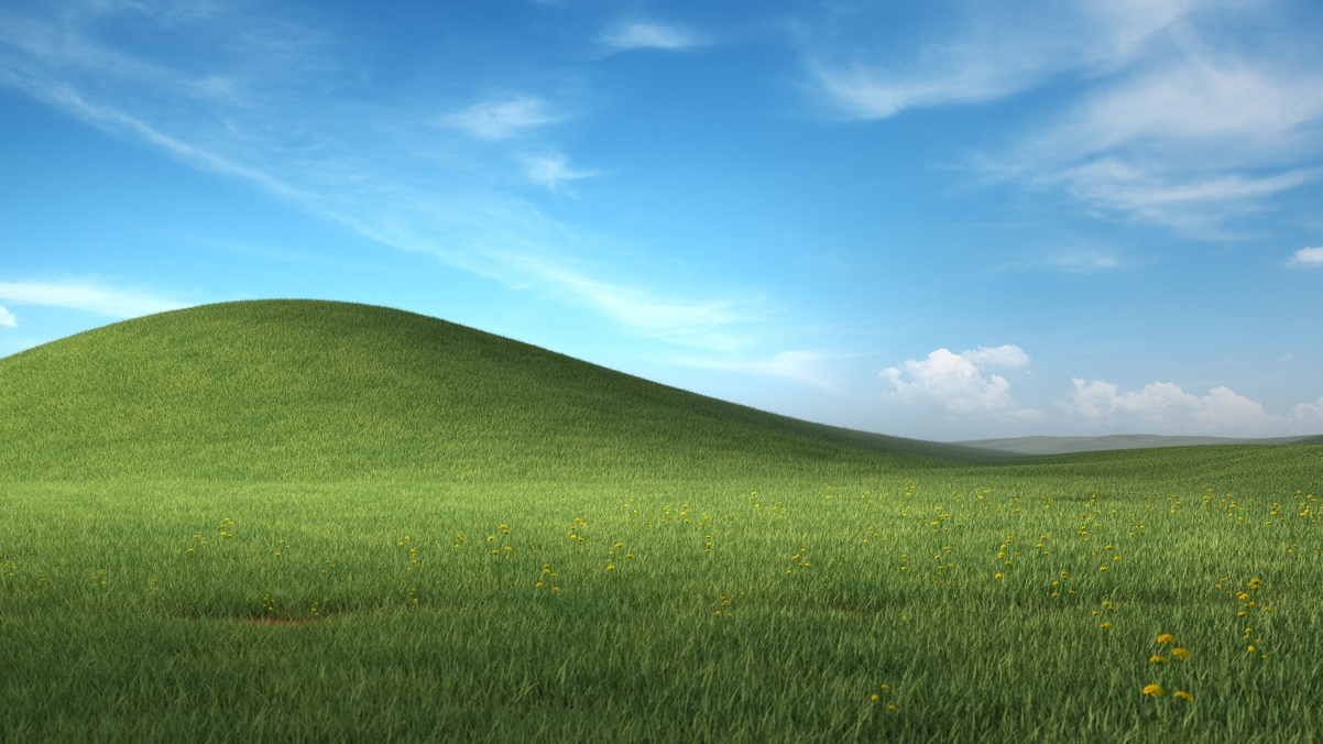 微软Windows XP 蓝天白云绿草地 蒲公英风景桌面壁纸图片3840x2160