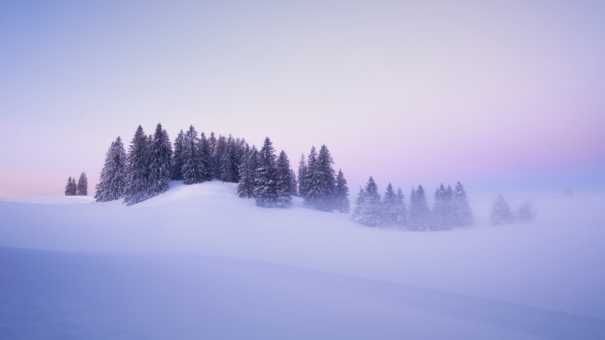 瑞士冬季 雪 树美丽冬天风景桌面壁纸图片3840x2160