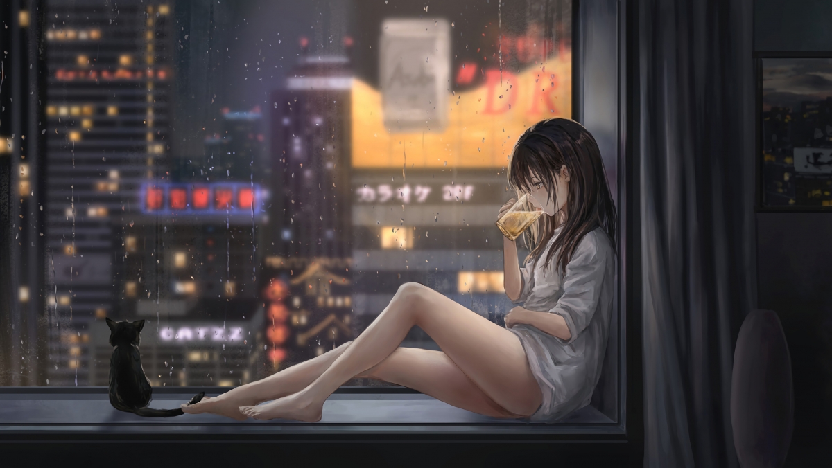 女孩喝啤酒 飘窗 城市夜景 雨天 猫 好看唯美动漫桌面壁纸图片