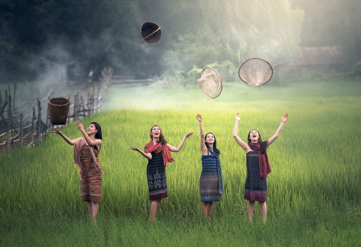 稻田 绿色农村 女人们 自由 欢乐 手臂 明亮 畅快 庆祝 高清图片 大米