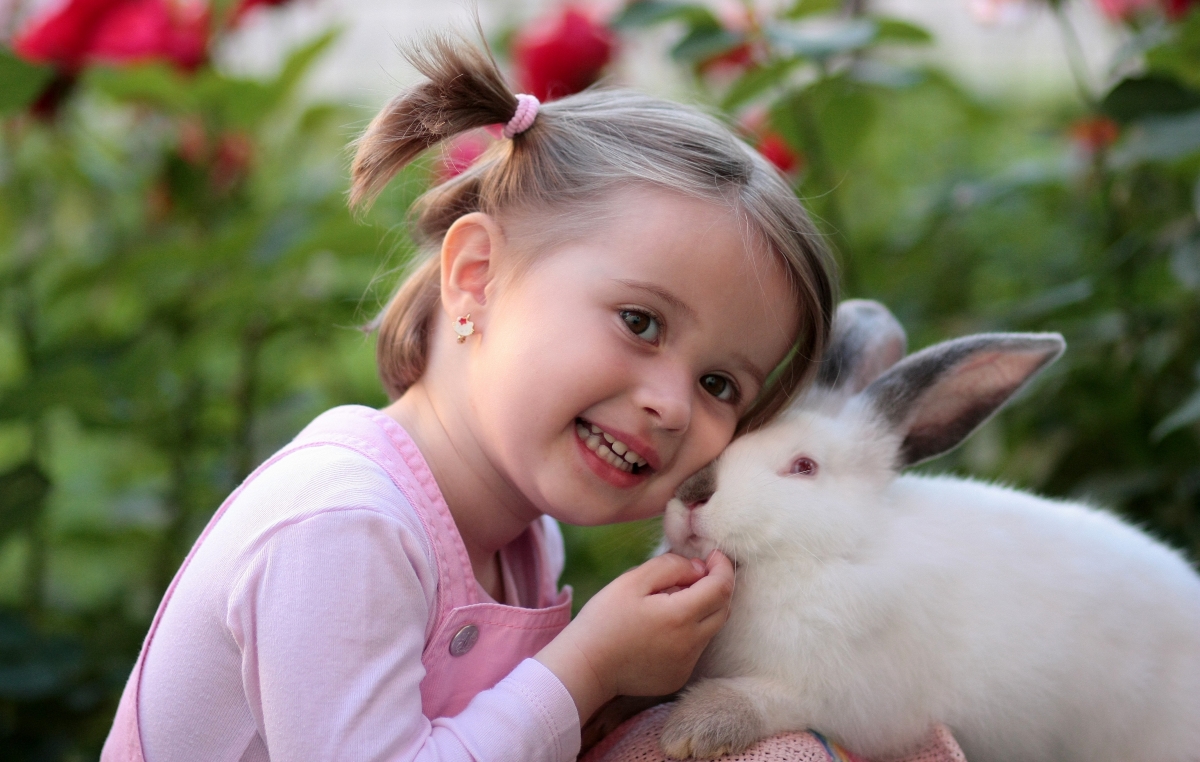 小女孩和兔子友谊图片