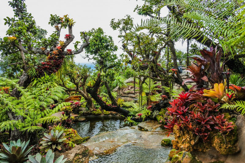 户外的公园实拍唯美风景